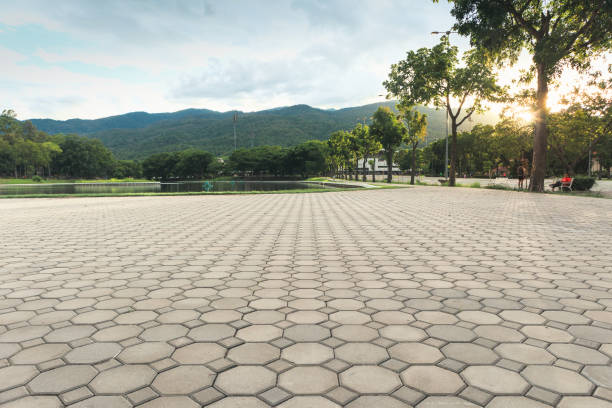 Best Residential Driveway Paver Services  in Roseburg Nth, OR